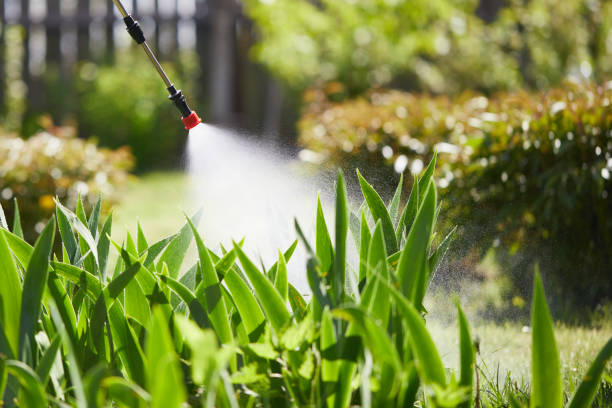 Tamper-Resistant Bait Stations for Rodents in Boronda