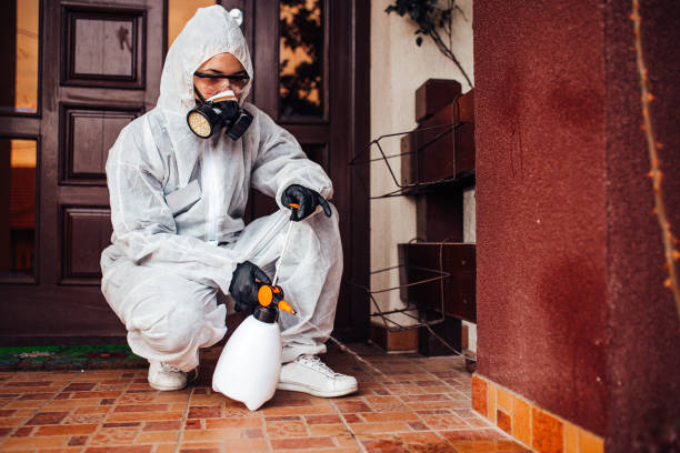 Attic and Crawl Space Rodent Treatment in Boronda